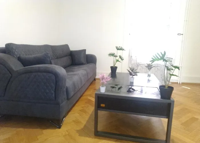 Charming Flat Center And Near The Lake